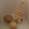 20260913_170123 Deko-Set "Wald": Wichtel mit Pilzen braun-beige